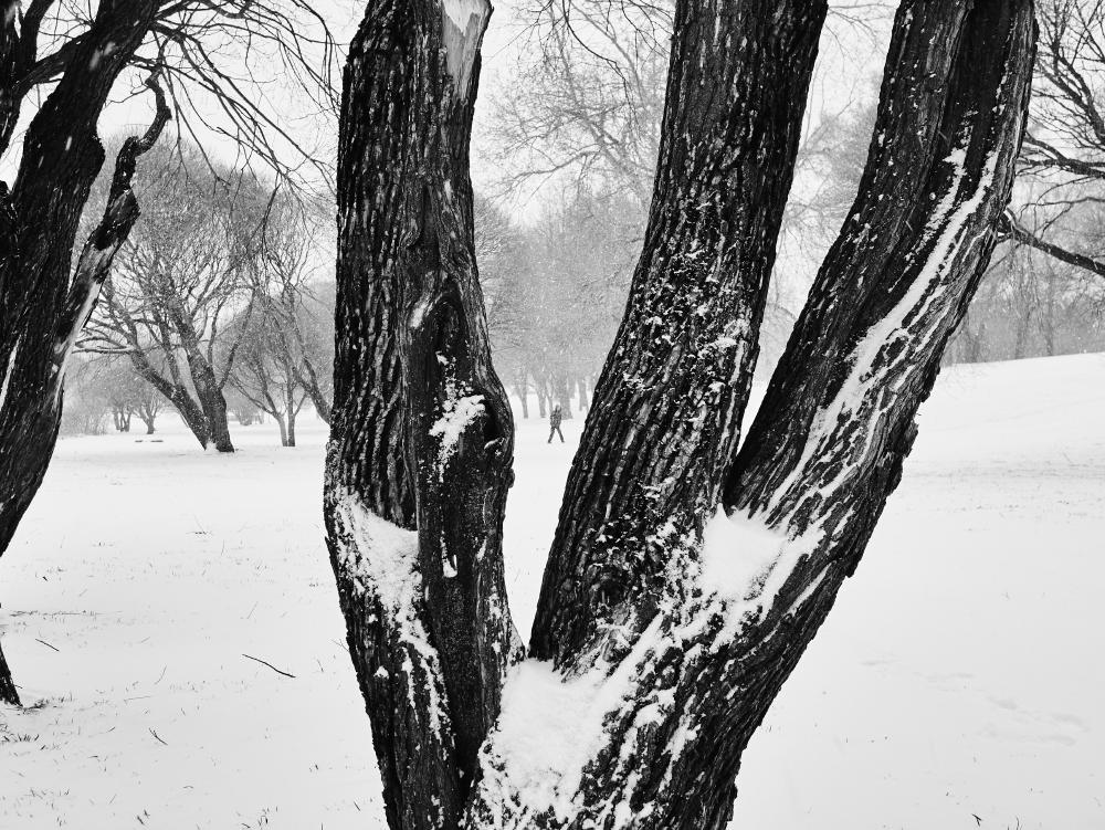 images/P1000796 1.jpg