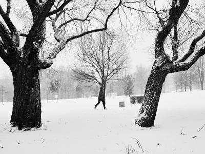 images/P1000799 1.jpg